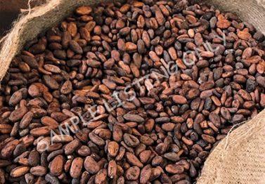 Kenya Cocoa Beans
