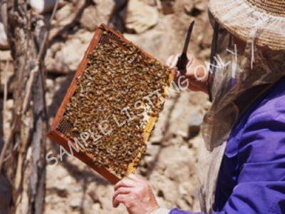 Pure Kenya Honey