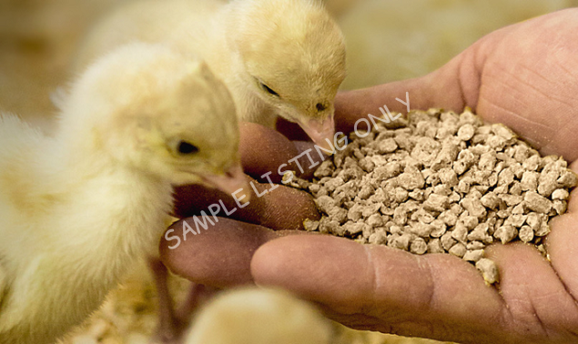 Kenya Layers (Poultry)